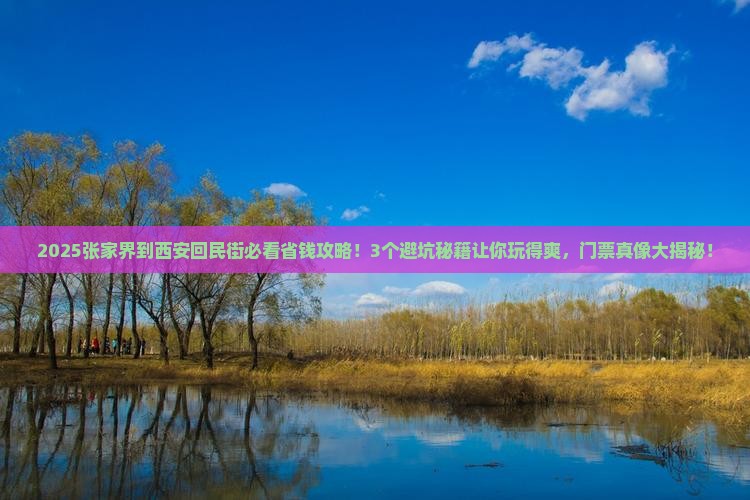 张家界到西安回民街门票