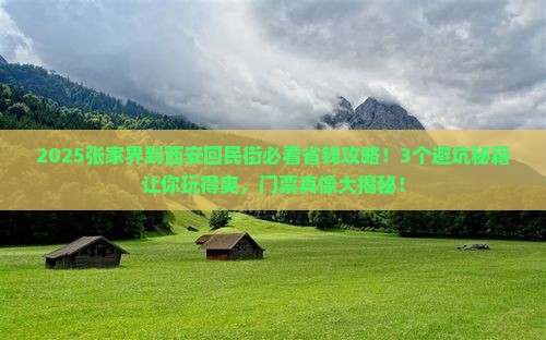 张家界到西安回民街门票