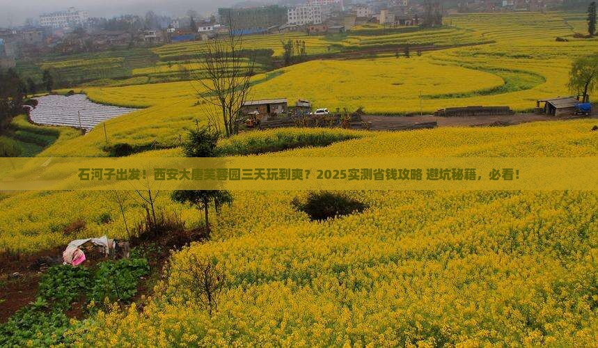 石河子到西安大唐芙蓉园三日游
