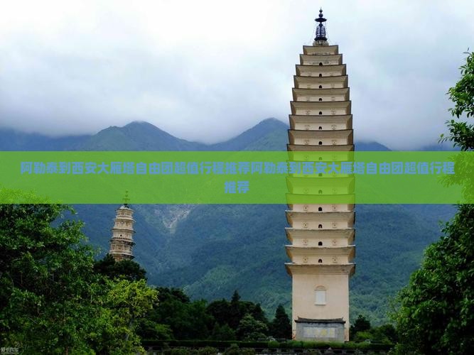 阿勒泰到西安大雁塔自由团