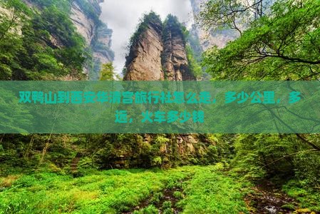 双鸭山到西安华清宫旅行社