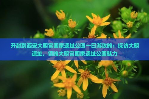 开封到西安大明宫国家遗址公园一日游