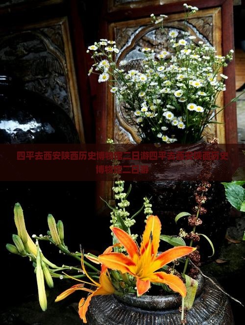 四平去西安陕西历史博物馆二日游