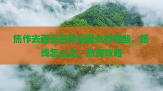 焦作去西安回民街景点
