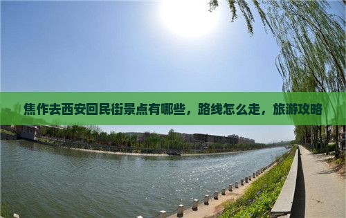 焦作去西安回民街景点