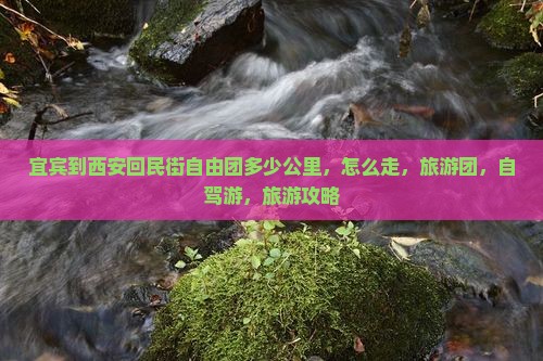 宜宾到西安回民街自由团