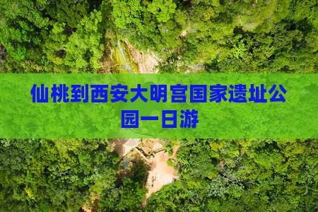仙桃到西安大明宫国家遗址公园一日游