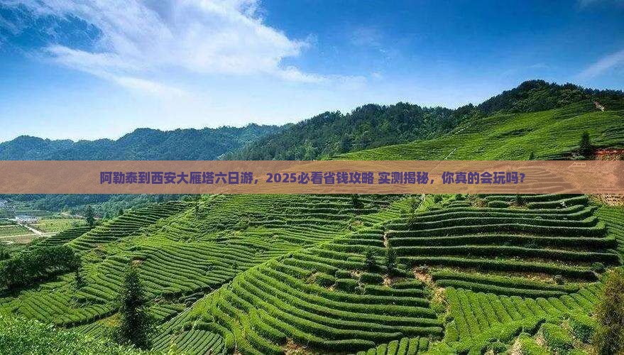 阿勒泰到西安大雁塔六日游