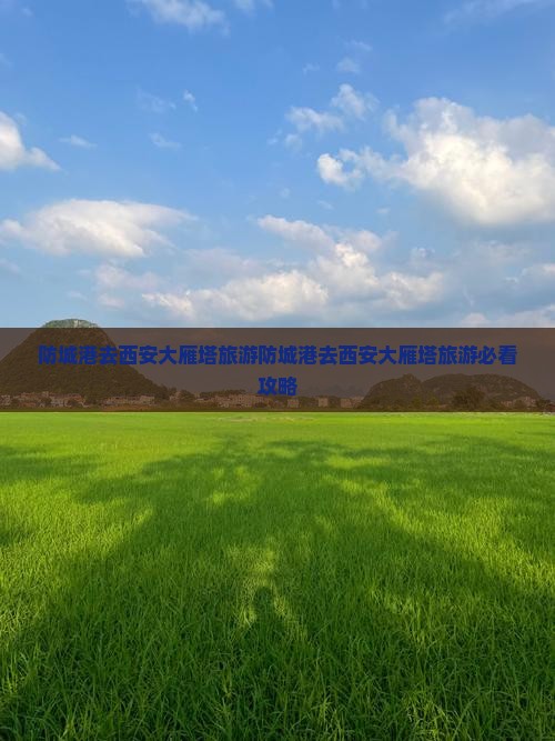 防城港去西安大雁塔旅游