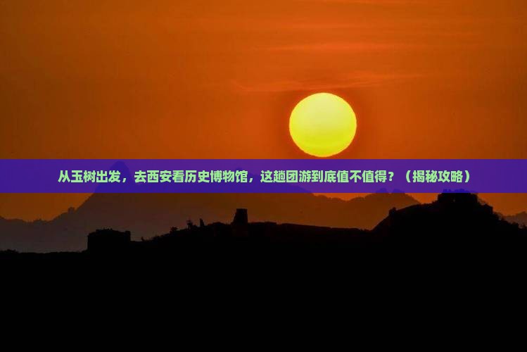 玉树到西安陕西历史博物馆团体旅游