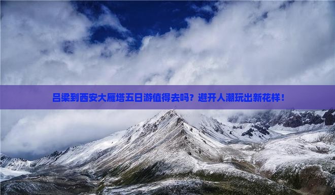 吕梁到西安大雁塔五日游