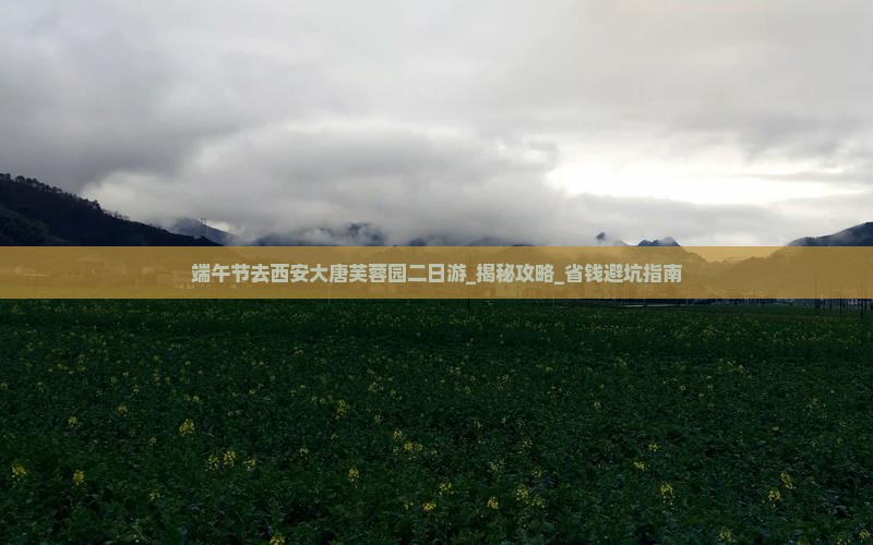 端午节去西安大唐芙蓉园二日游