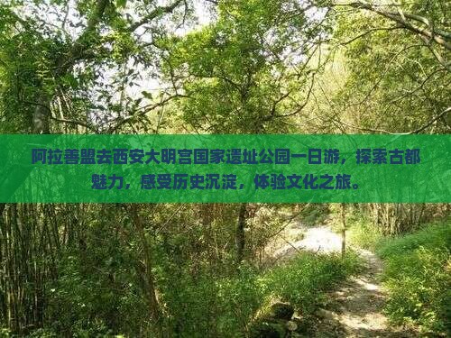 阿拉善盟去西安大明宫国家遗址公园一日游