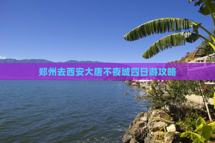 郑州去西安大唐不夜城四日游