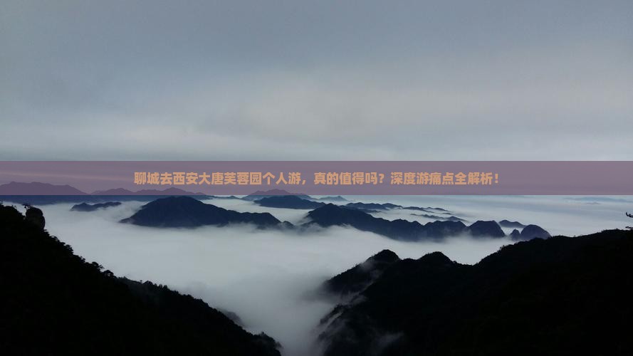 聊城去西安大唐芙蓉园个人游