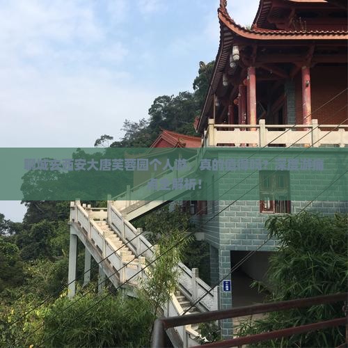 聊城去西安大唐芙蓉园个人游