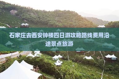 石家庄去西安钟楼四日游