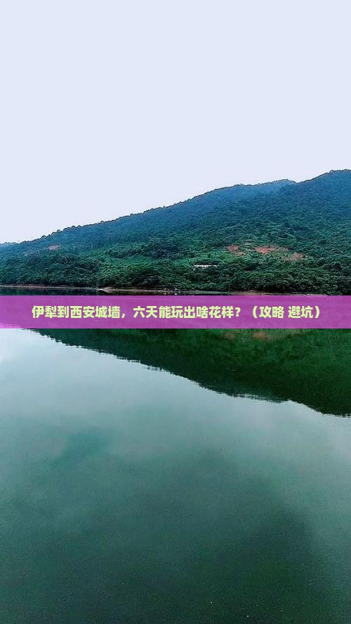 伊犁到西安城墙六日游