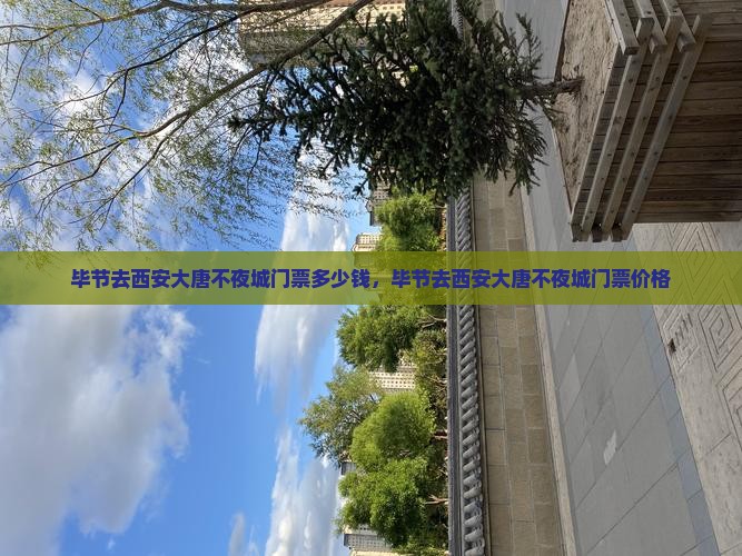 毕节去西安大唐不夜城门票
