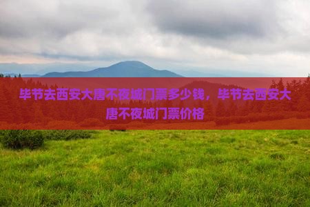 毕节去西安大唐不夜城门票