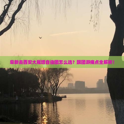 阜新去西安大雁塔自由团