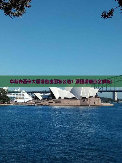 阜新去西安大雁塔自由团