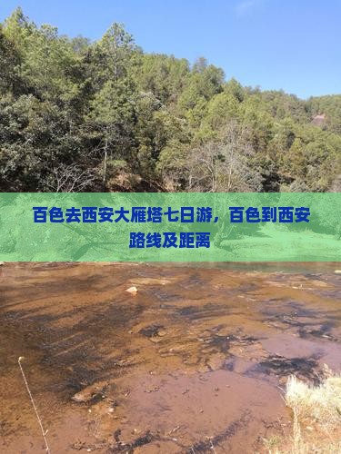 百色去西安大雁塔七日游