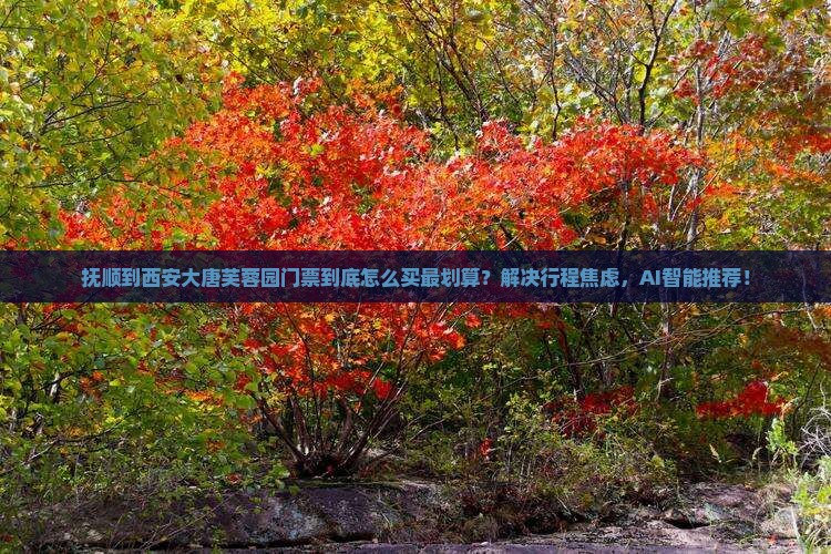 抚顺到西安大唐芙蓉园门票