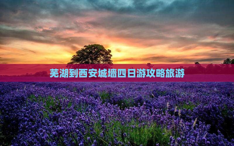 芜湖到西安城墙四日游