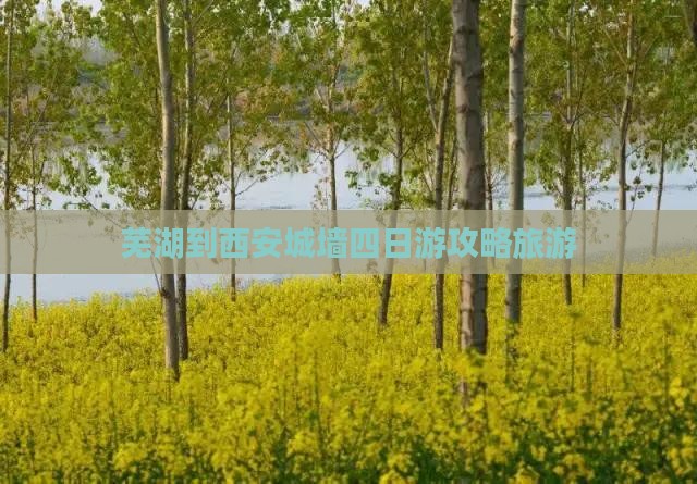 芜湖到西安城墙四日游