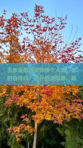 五家渠到西安钟楼个人游