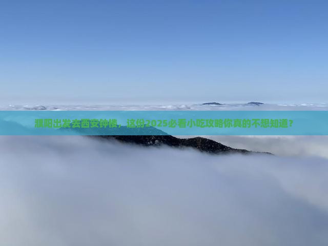 濮阳去西安钟楼旅游小吃