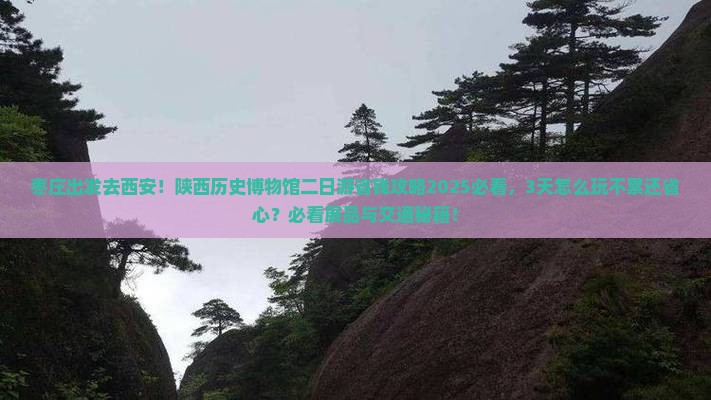 枣庄去西安陕西历史博物馆二日游