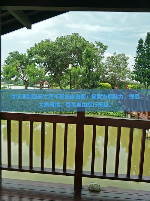哈尔滨到西安大唐不夜城自由团