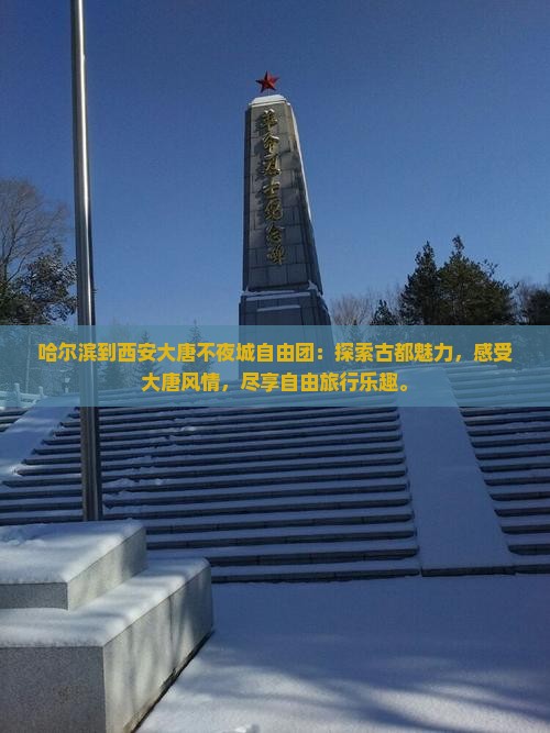 哈尔滨到西安大唐不夜城自由团