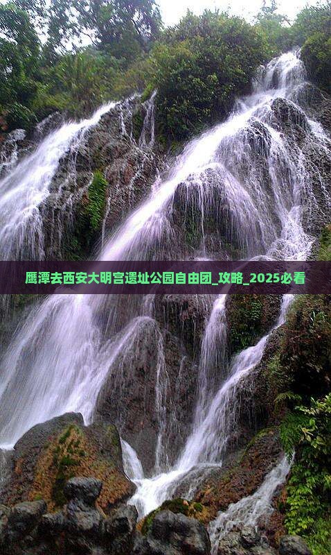 鹰潭去西安大明宫国家遗址公园自由团