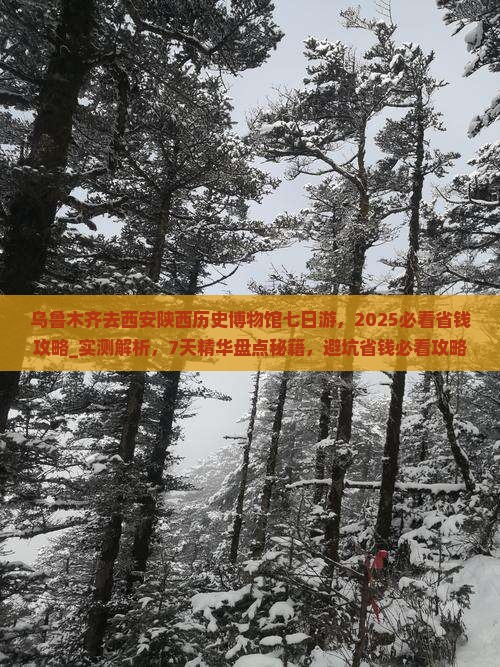乌鲁木齐去西安陕西历史博物馆七日游