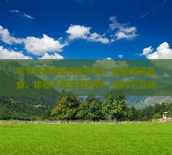 毕节去西安回民街旅游