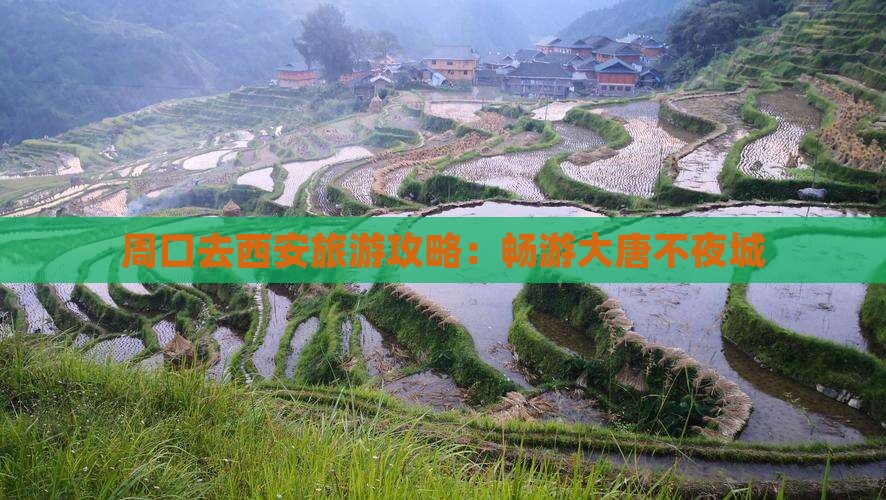 周口去西安大唐不夜城攻略