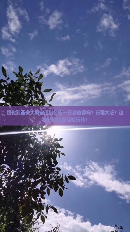 绥化到西安大明宫国家遗址公园一日游