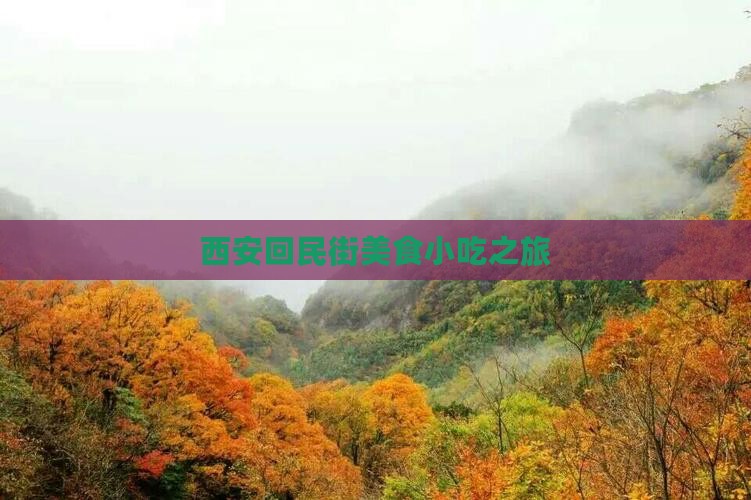 衡水到西安回民街旅游小吃