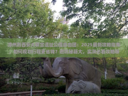 漳州到西安大明宫国家遗址公园自由团