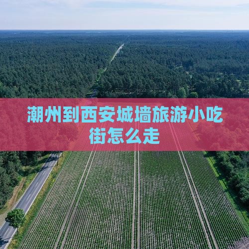 潮州到西安城墙旅游小吃