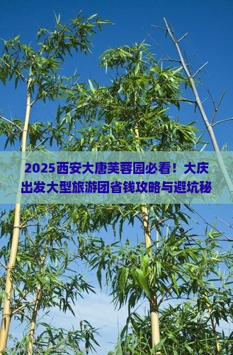 大庆去西安大唐芙蓉园大型旅游团