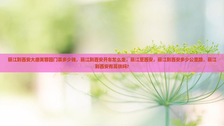 丽江到西安大唐芙蓉园门票