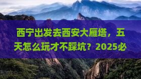 西宁去西安大雁塔五日游