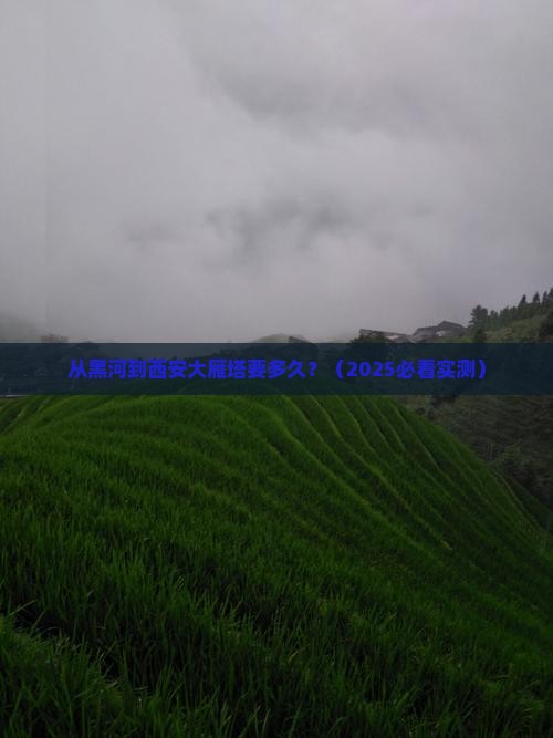 黑河到西安大雁塔攻略