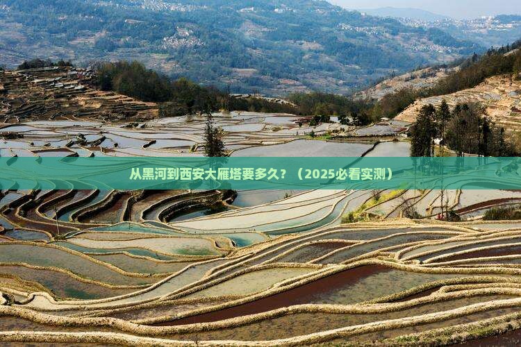 黑河到西安大雁塔攻略