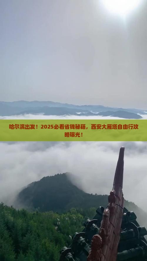 哈尔滨去西安大雁塔自由行