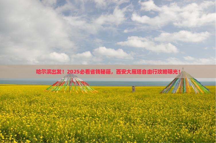 哈尔滨去西安大雁塔自由行